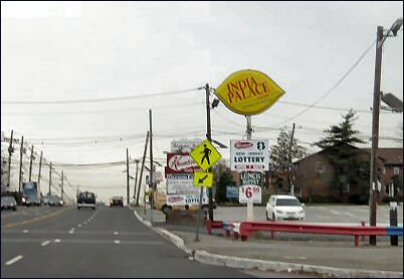 india palace Oak Tree Rd, Edison, NJ