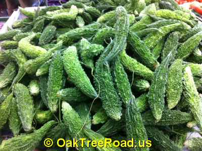 Karela on Oak Tree Road