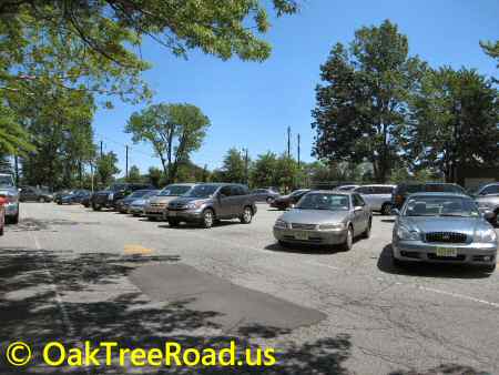 Oak Tree Road Parking