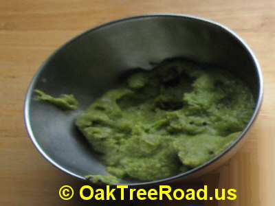 MTR Vada Chutney image © OaktreeRoad.us